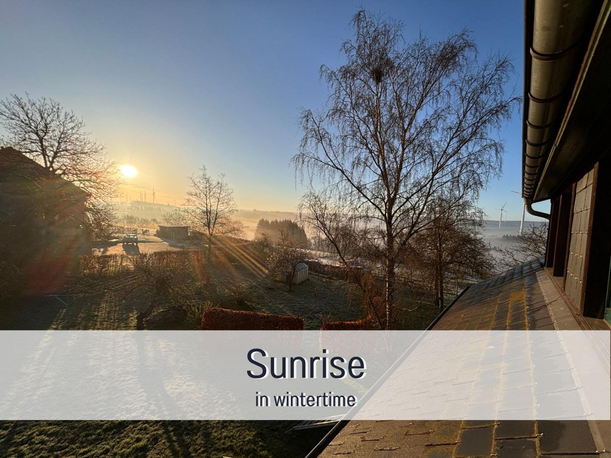 Paulis Cozy 4-Bedroom Vacation Home - With 4 Bathrooms Sun Terrace & Sauna, Nice To Hike & Bike, To Chil & Meet 比林根 外观 照片
